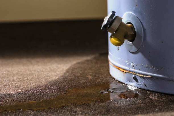 Best Water damage restoration near me  in Glencoe, IL