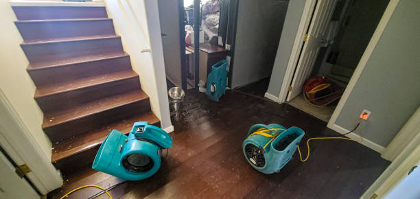 Best Carpet water damage restoration  in Glencoe, IL