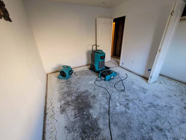  Glencoe, IL Water damage restoration Pros