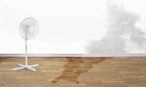 Trusted Glencoe, IL Water damage restoration Experts