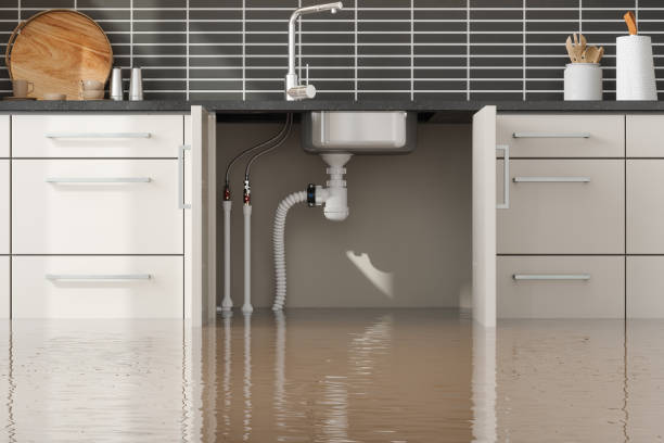Best Water damage restoration near me  in Glencoe, IL