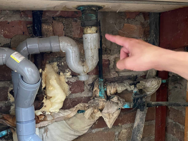 Best Mold removal after water damage  in Glencoe, IL